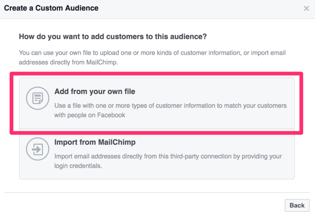 upload your email file to a custom facebook audience